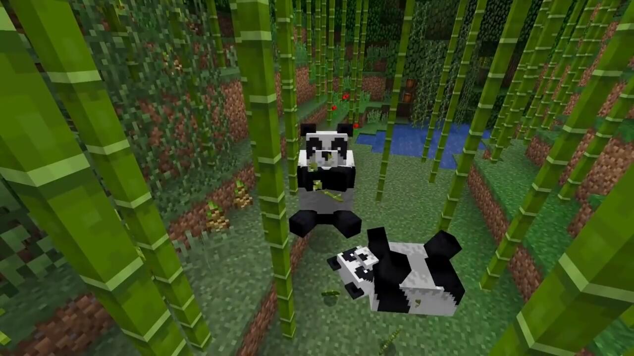 国宝驾到！《我的世界》更新将加入新动物“大熊猫”